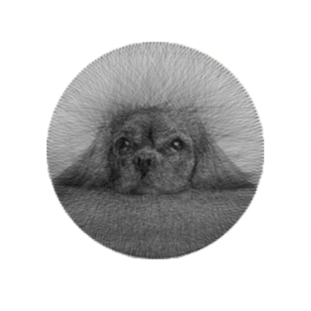 Pawprints in Strings - WeGift