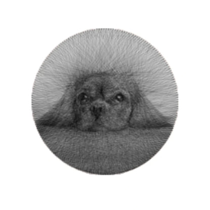Pawprints in Strings - WeGift